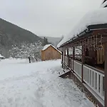 тарниця Krivorovnya
