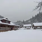 тарниця * Krivorovnya