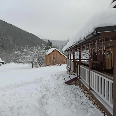 тарниця Krivorovnya