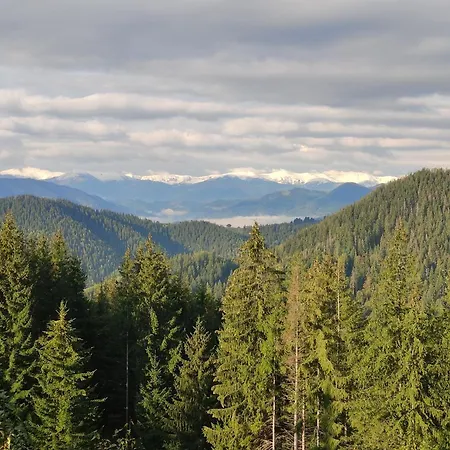 тарниця Apartment