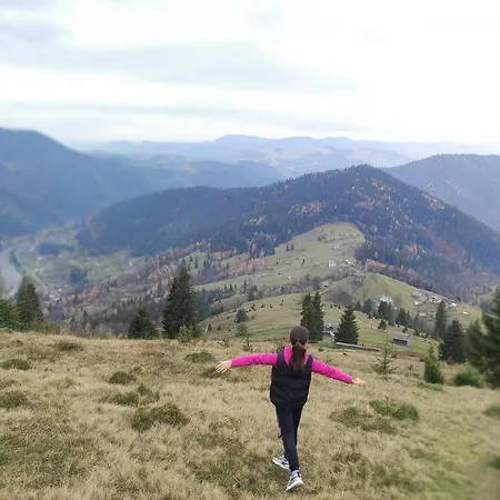 Apartment тарниця