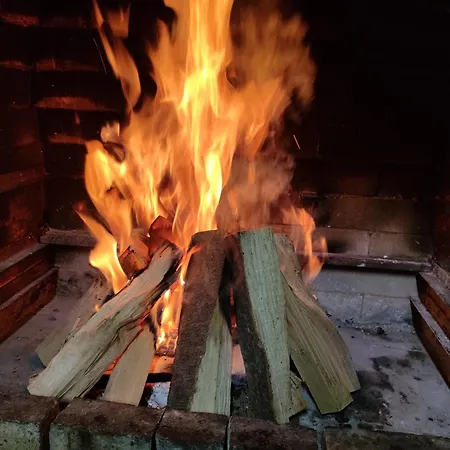 тарниця Apartment