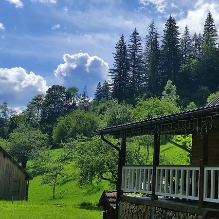 тарниця *