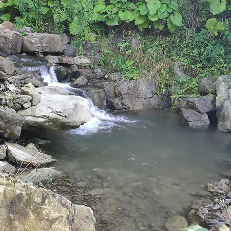 Apartment тарниця