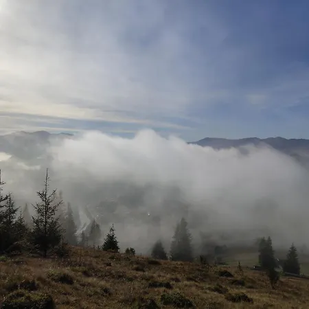 тарниця *
