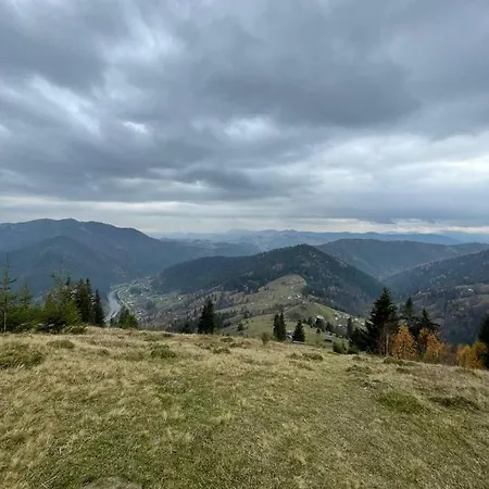 شقة тарниця